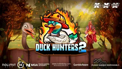 Duck Hunters 2: provider artwork for release coverage