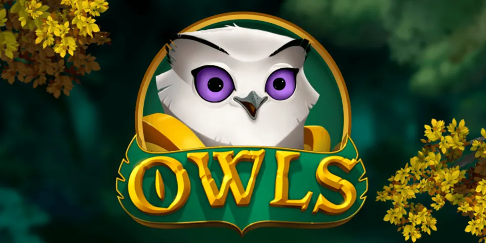 Owls slot demo thumbnail from Nolimit City